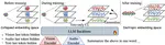 Scaling Language-Centric Omnimodal Representation Learning